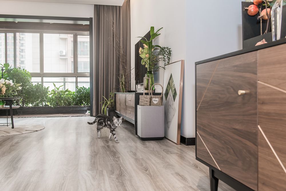 子蘭生活規(guī)劃師—文邱竹子 子蘭生活規(guī)劃師—文邱竹子