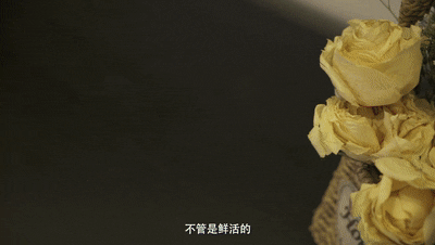 子蘭生活規(guī)劃師—文邱竹子